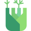 Fennel icon 64x64