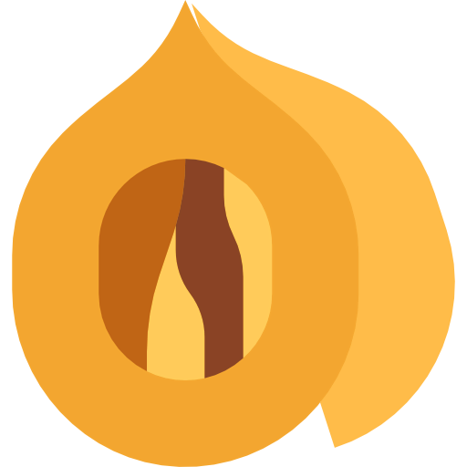 Nut icon