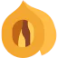 Nut icon 64x64