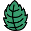 Mint icon 64x64