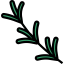Rosemary icon 64x64