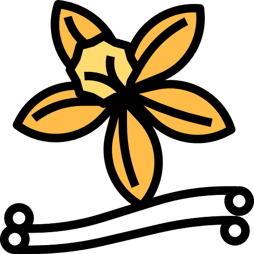 Vanilla icon