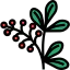 Berries icon 64x64