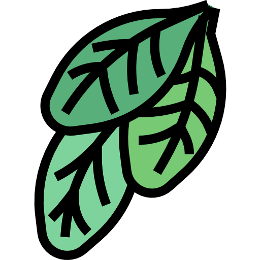 Spinach icon