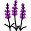 Ginkgo icon 64x64