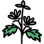 Herb icon 64x64