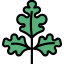 Parsley icon 64x64