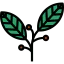Berries icon 64x64