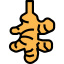 Ginger icon 64x64