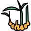 Ginger icon 64x64