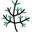 Dill icon 64x64