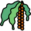 Vegetable icon 64x64