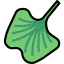 Lettuce icon 64x64
