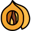Nut icon 64x64