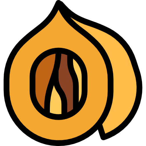 Nut icon