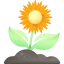 Sunflower icon 64x64