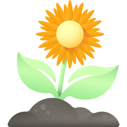 Sunflower icon