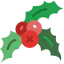 Mistletoe icon 64x64