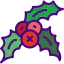 Mistletoe icon 64x64