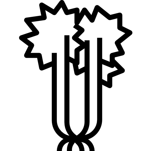 Celery icon