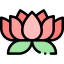 Lotus flower icon 64x64