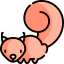 Squirrel icon 64x64