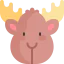 Moose icône 64x64