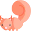 Squirrel icon 64x64