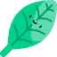 Leaf icon 64x64