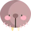 Walrus icon 64x64