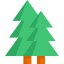 Spruce іконка 64x64