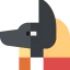Anubis icon 64x64