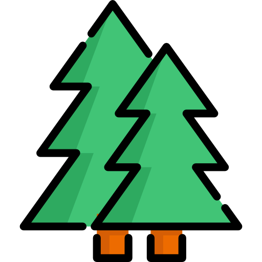 Spruce icon