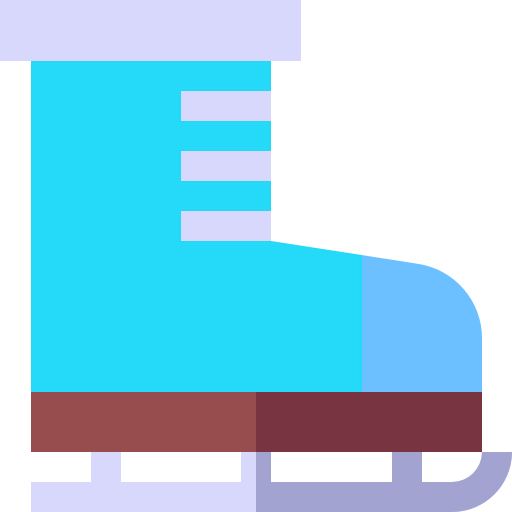 Skates icon