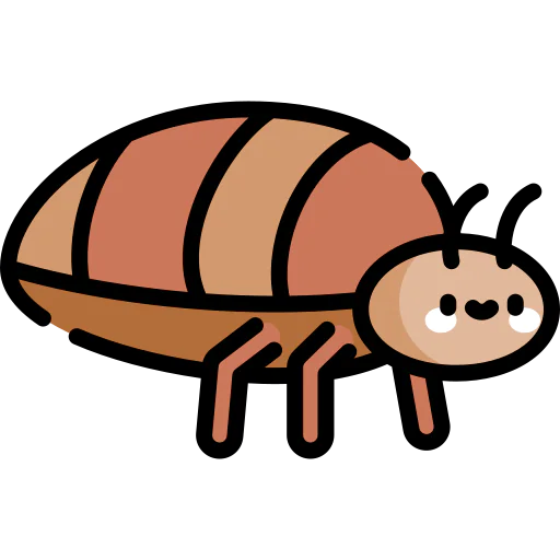 Bedbug 상