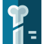 X ray icon 64x64