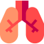 Lungs icon 64x64