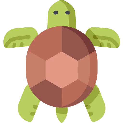 Turtle icon
