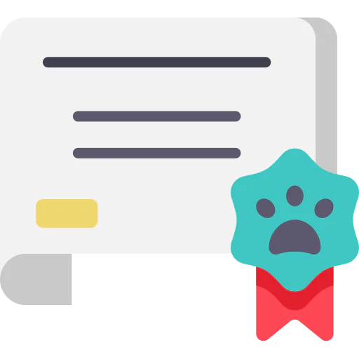 Certificate icon