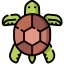 Turtle icon 64x64