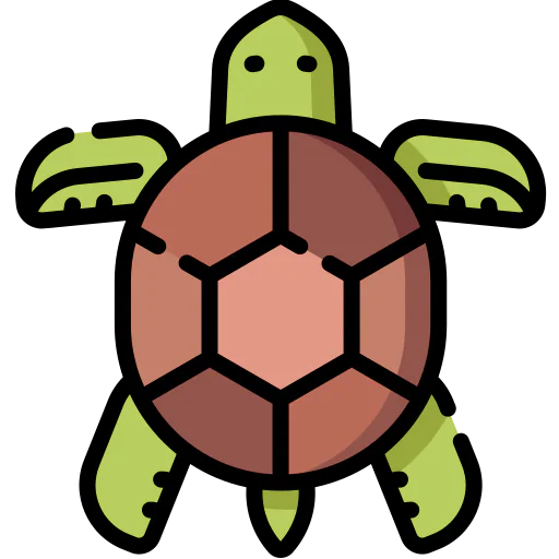 Turtle icon