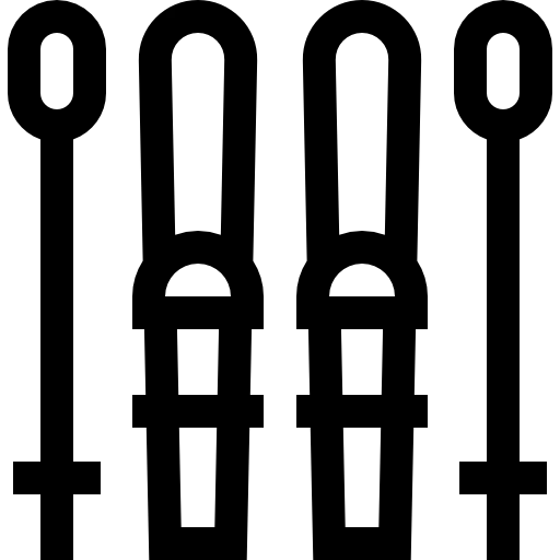 Ski icon
