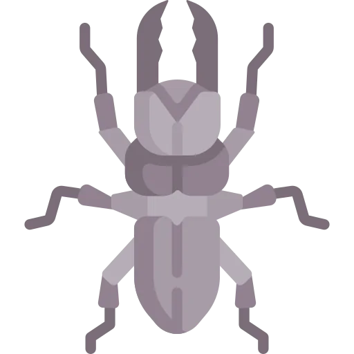 Beetle icon
