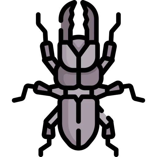 Beetle icon