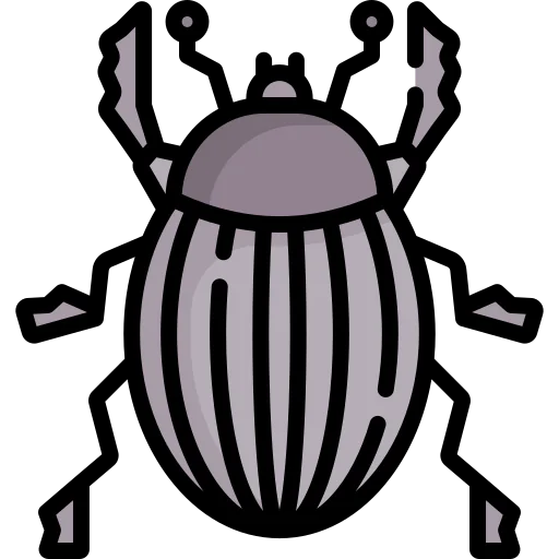 Beetle icon