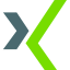 Xing icon 64x64