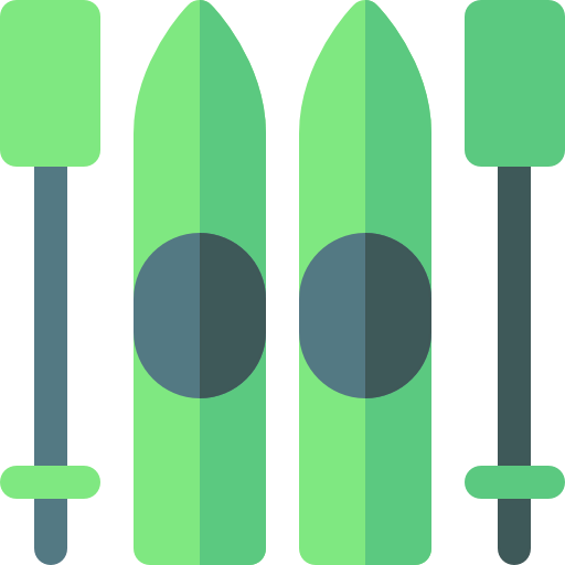 Skii icon