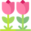 Tulips icon 64x64