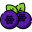 Blueberry icon 64x64