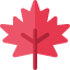 Maple leaf Symbol 64x64